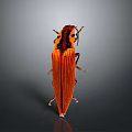 Orange Beetle Insect With Striped Exoskeleton And Antennae On Gray Surface