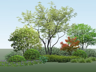 Colorful Garden Flowers And Plants With Green Shrubs Red Leaf Trees 3d model