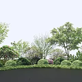 Well Trimmed Shrubs In Lush Garden Landscape With Various Trees And Greenery