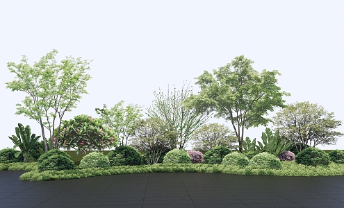 Modern Shrub Plant Combination 3d model