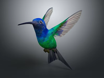 Flying Hummingbird With Blue And Green Feathers Spread Wings In Mid Flight 3d model