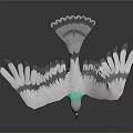 Flying Bird with Gray Feathers Green Neck Orange Beak and Spread Wings