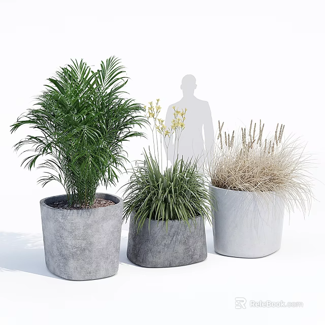 Three Leafy and Grassy Potted Plants in Cement Planters for Indoor Decorative Greenery 3d model 