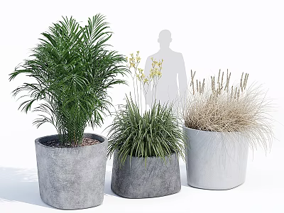 Three Leafy and Grassy Potted Plants in Cement Planters for Indoor Decorative Greenery 3d model