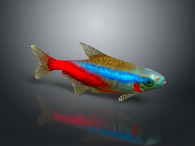 Vibrant Red Blue and Golden Aquatic Fish With Shiny Scales and Sleek Body 3d model