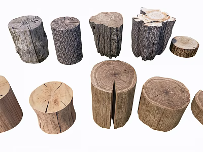 Natural Wooden Stumps With Various Shapes And Rustic Texture For Home Decor 3d model