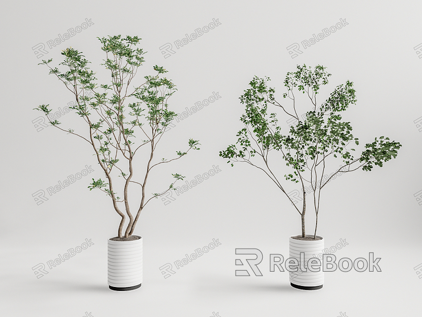 Modern potted plant potted landscape tree model