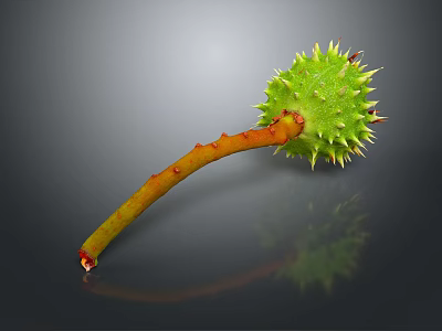 Green Spiky Fruit With Orange Stem On Gray Background And Reflection 3d model