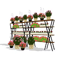 Multi tiered Display Shelves with Colorful Flower Vases and Potted Assorted Flowers