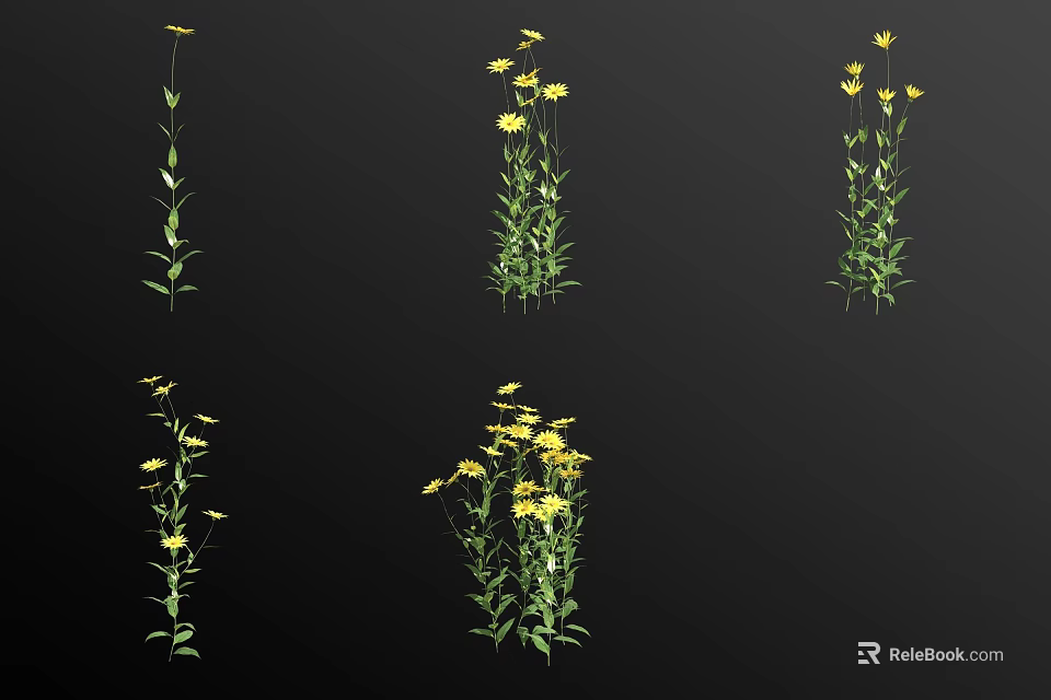 Yellow Flowers With Green Stems In Multiple Plant Arrangements For Garden 3d model 