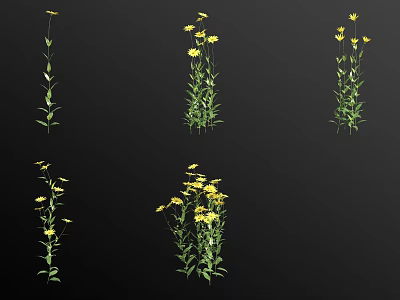 Yellow Flowers With Green Stems In Multiple Plant Arrangements For Garden 3d model