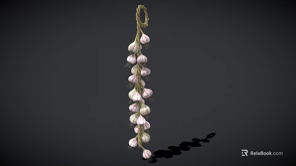Fresh Hanging Garlic Bulbs Arranged On Natural Rope Against Dark Background 3d model 