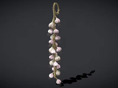 Fresh Hanging Garlic Bulbs Arranged On Natural Rope Against Dark Background 3d model