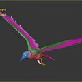 White Seagull Flying Animal With Spreading Wings Orange Beak And Yellow Feet