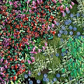 Decorative Living Plant Wall With Diverse Green Plants And Colorful Flowers