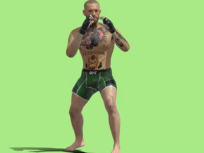 Shirtless Man With Tattoos And Black Boxing Gloves In UFC Shorts Fighting Stance On Green 3d model