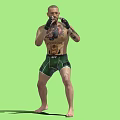 Shirtless Man With Tattoos And Black Boxing Gloves In UFC Shorts Fighting Stance On Green