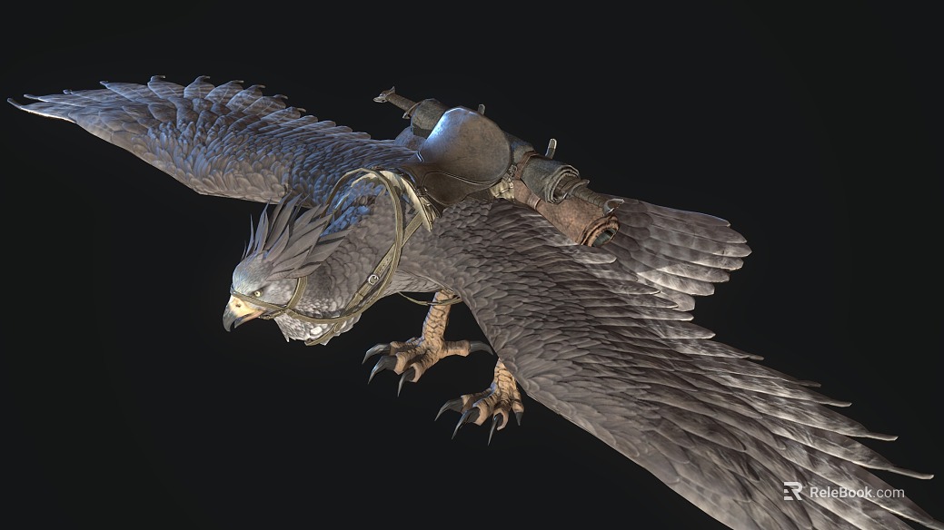 Eagle texture