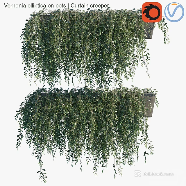 Lush Green Hanging Bush With Dense Leaves For Outdoor Garden Decor 3d model 