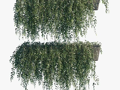 Lush Green Hanging Bush With Dense Leaves For Outdoor Garden Decor 3d model