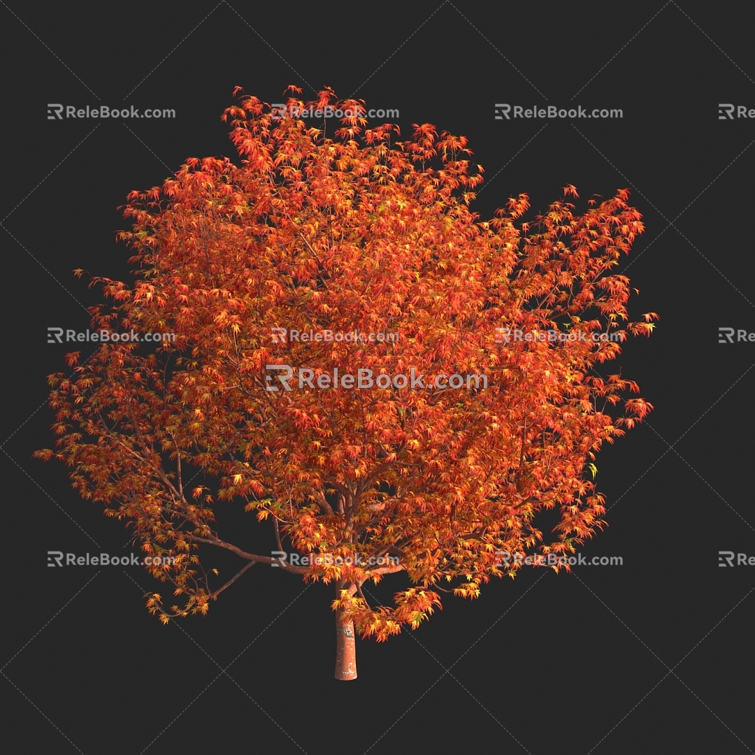 Modern Red Branch Acer Maple Tree Coral Pavilion Red Maple Coral Skin Japanese Red Maple Tree 3d model