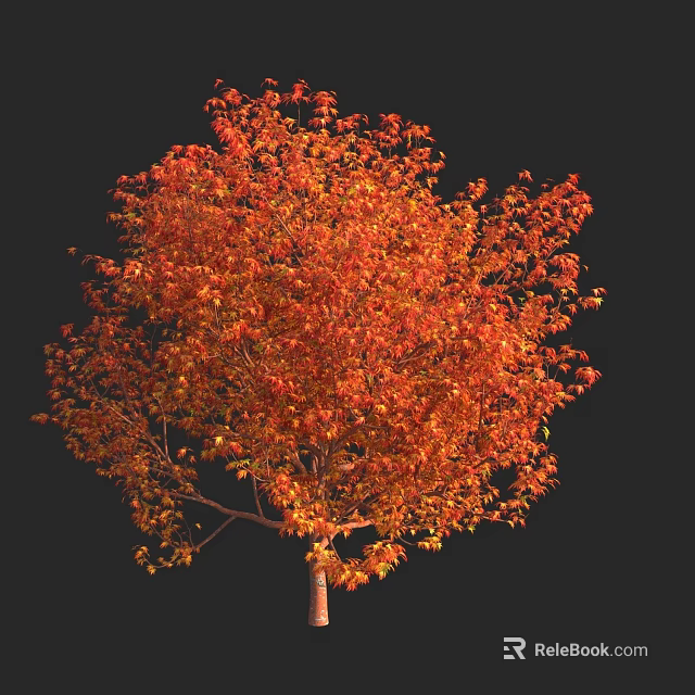 Lush Deciduous Arbor With Vibrant Orange Red Leaves Against Black Background 3d model 