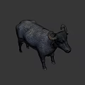 Detailed Gray Cow 3D Model Standing On Black Background With Horns