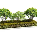 Lush Green Shrubs With Three Plants In Rectangular Planter And Ground Cover 3d model