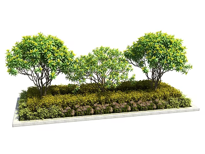 Lush Green Shrubs With Three Plants In Rectangular Planter And Ground Cover 3d model