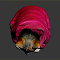 Cute Tabby Cat Wearing Bright Pink Puffer Coat Sitting On Shiny Dark Surface
