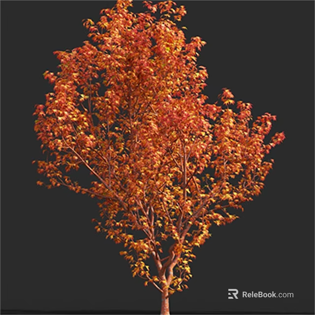 Arbor With Lush Red Orange Autumn Leaves Isolated On Dark Background 3d model 
