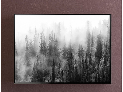 Nordic Landscape Painting Black and White Study Landscape Decorative Painting model