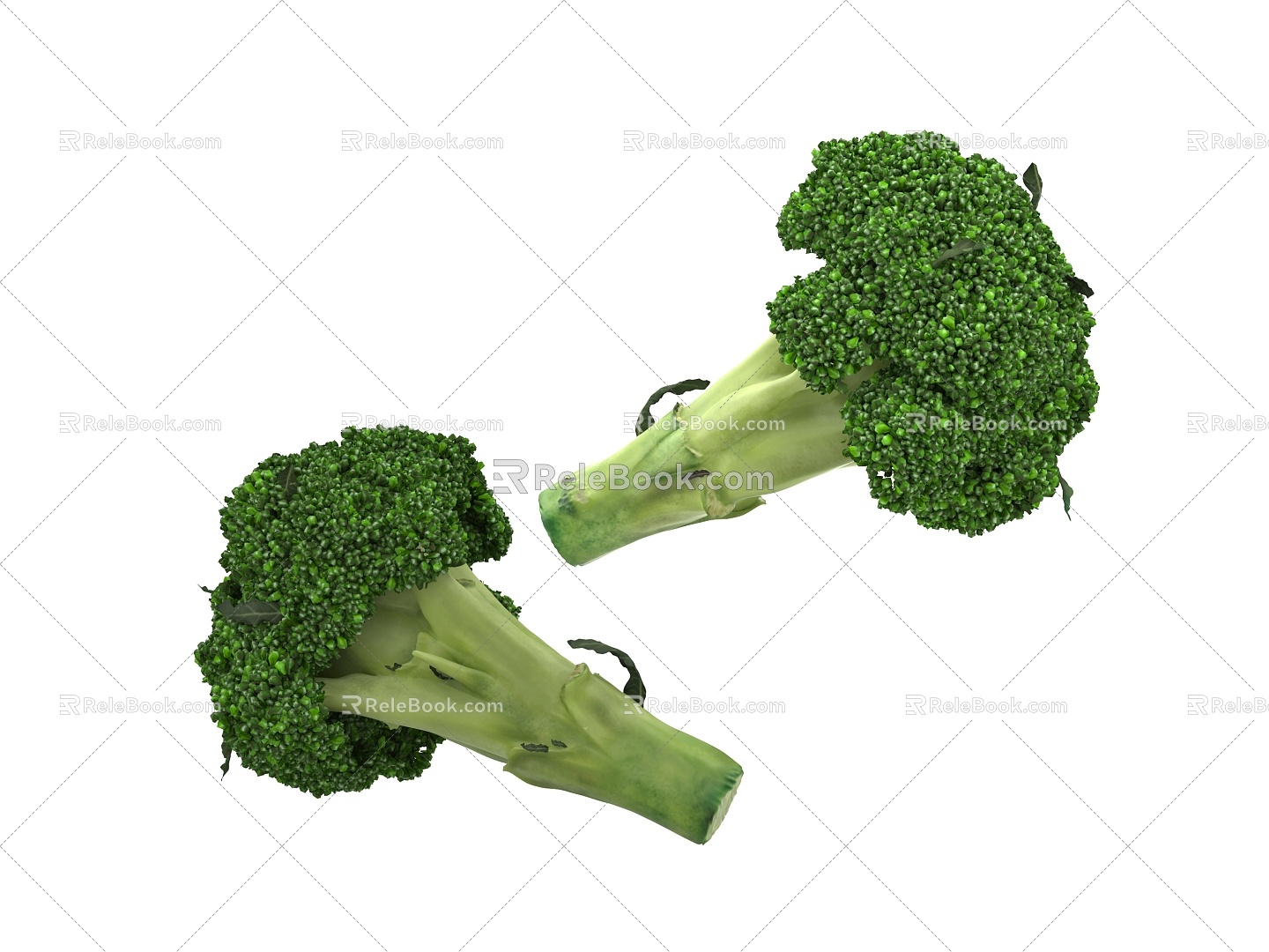 Broccoli 3d model