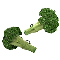 Broccoli 3d model