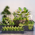 Different Types Of Green Plants In Black Planter Boxes Against White Wall