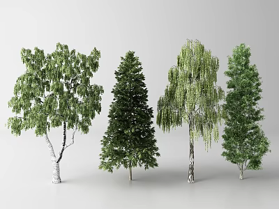Four Varieties of Arbor Trees With Diverse Foliage and Trunk Characteristics 3d model