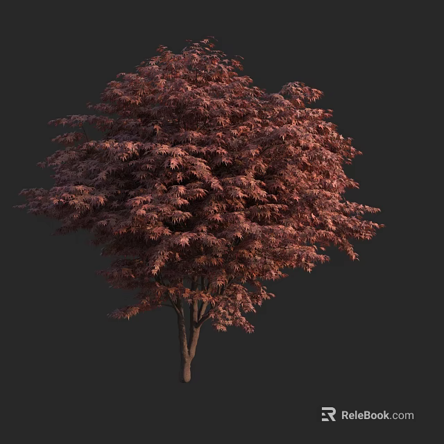 Vibrant Red Leaf Arbor With Dense Foliage And Single Trunk On Dark Background 3d model 