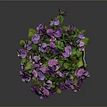 Vibrant Purple And Pink Flowers In Silver Metal Bucket With Green Leaves On Dark Background