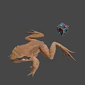 3D Render Of Brown Frog With Colorful Rubiks Cube On Gray Background