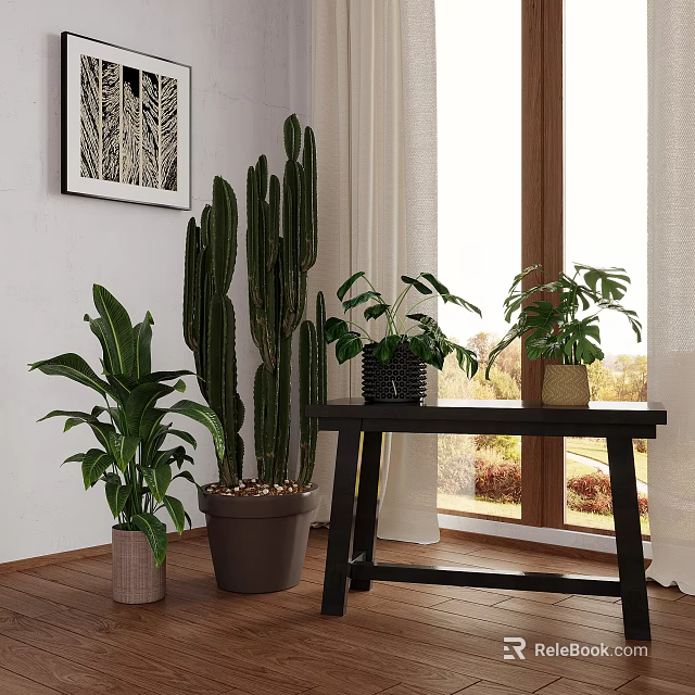 Indoor Potted Plants Including Cactus And Monstera In Bright Window Interior With Wooden Table 3d model 