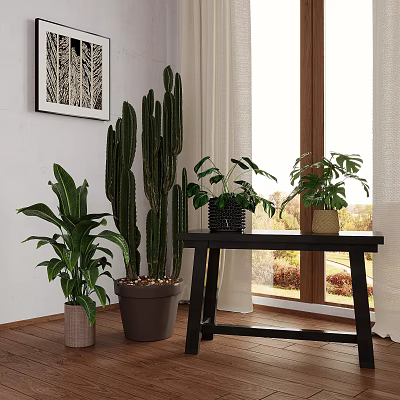 Indoor Potted Plants Including Cactus And Monstera In Bright Window Interior With Wooden Table 3d model