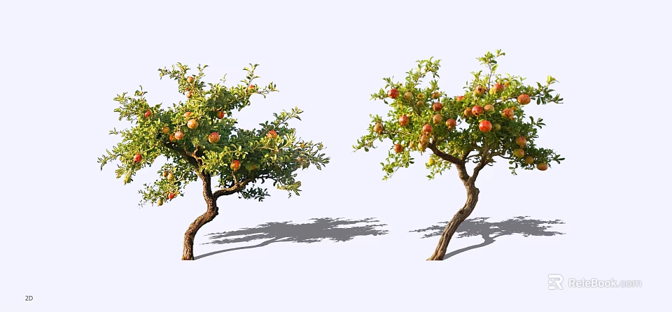 Two Curved Branch Arbor Trees With Abundant Red Fruits On White Background 3d model 