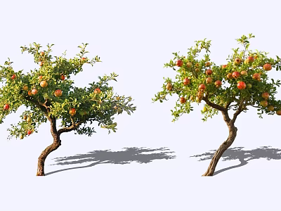 Two Curved Branch Arbor Trees With Abundant Red Fruits On White Background 3d model