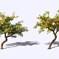 Two Curved Branch Arbor Trees With Abundant Red Fruits On White Background