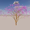 Tree With Purple Flowers Under Blue Sky And White Clouds On Light Colored Ground