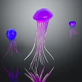 Three Vibrant Purple and Blue Jellyfish with Long Tentacles on Dark Background with Reflections