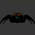 Hairy Spider With Vibrant Red And Green Markings On Body And Legs