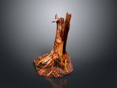 Natural Tree Stump Plant Decoration with Exposed Roots and Textured Surface for Indoor 3d model