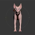 Pink Sphynx Cat Wearing Brown Backpack With Black Flashlight Accessory