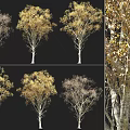 Tree 3d model